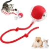 Interactive Electric Automatic Rechargeable Active Rolling Ball